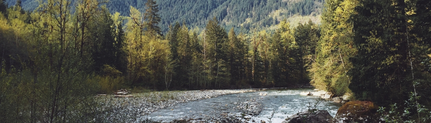 camille-puche-QJCx2FBMvzo-unsplash